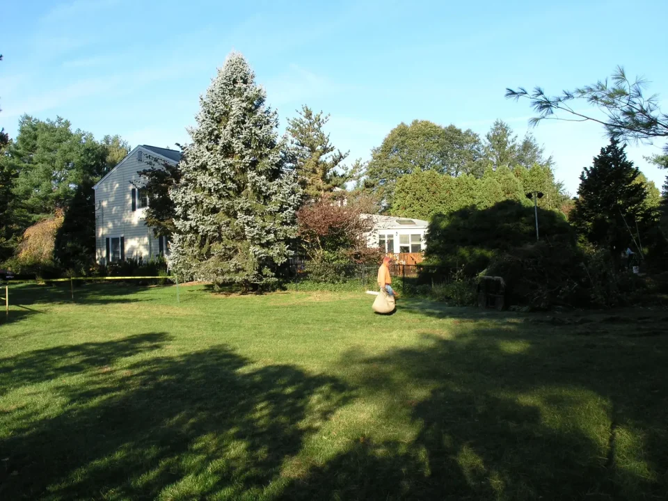 Suburban backyard with trees and a two-story house on a sunny day.