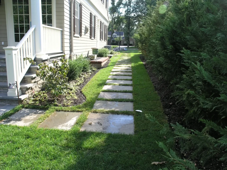 Stone pathway by a house with plants and shrubs on the sides in sunlight.
