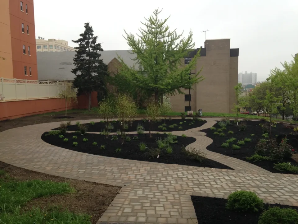 Curved pathway with fresh landscaping, shrubs, and a large tree against urban backdrop.