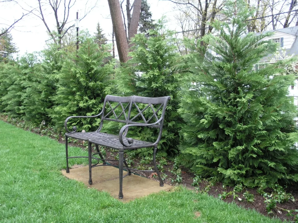 A metal bench on a concrete slab surrounded by lush green shrubs in a garden.