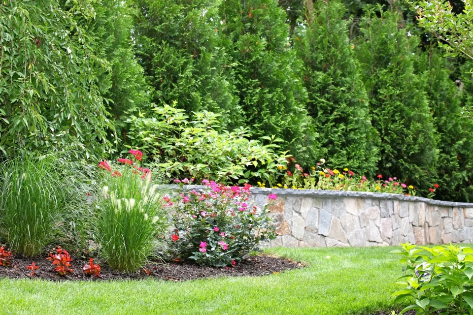 Lush garden with a stone wall, colorful flowers, and green foliage.