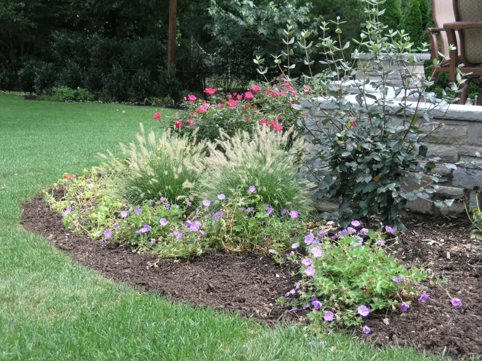 A well-maintained garden bed with pink and red flowers, ornamental grass, and a lush green lawn.