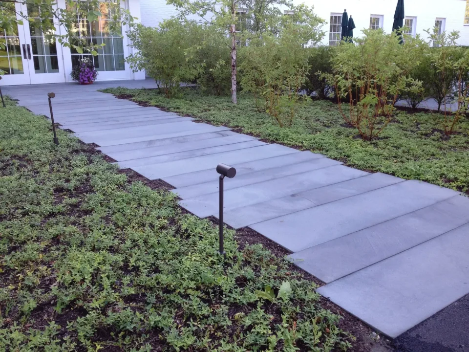 Modern walkway with large paving stones, flanked by ground cover plants and shrubs, leading to a white building.
