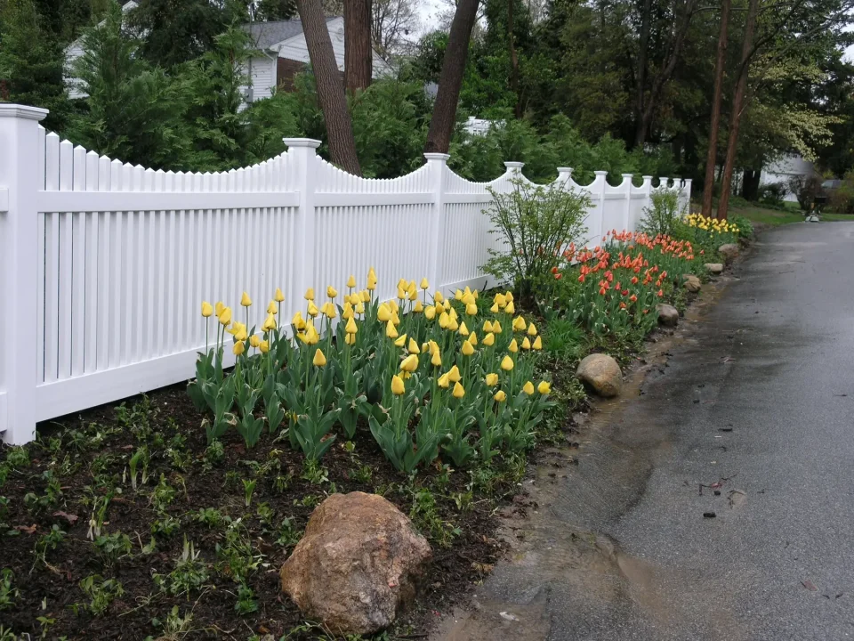 Yellow and red tulips along a white picket fence by a roadside.