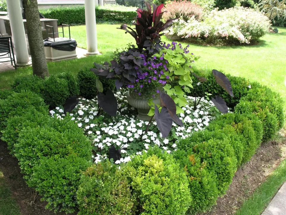 A well-manicured garden with shrubs, purple flowers, and a central planter.