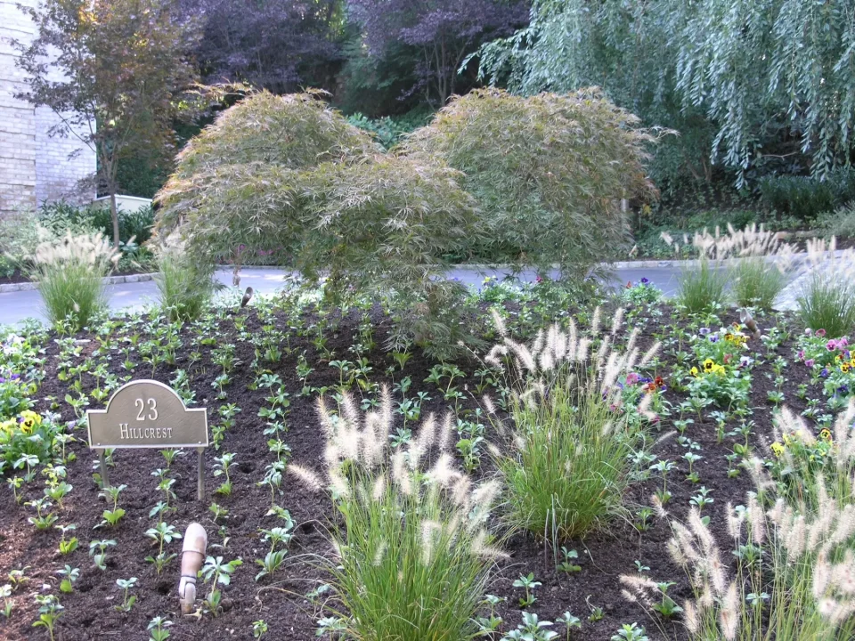 Garden with ornamental grasses, flowers, and trimmed shrubs, with a sign reading "23 Hillcrest."