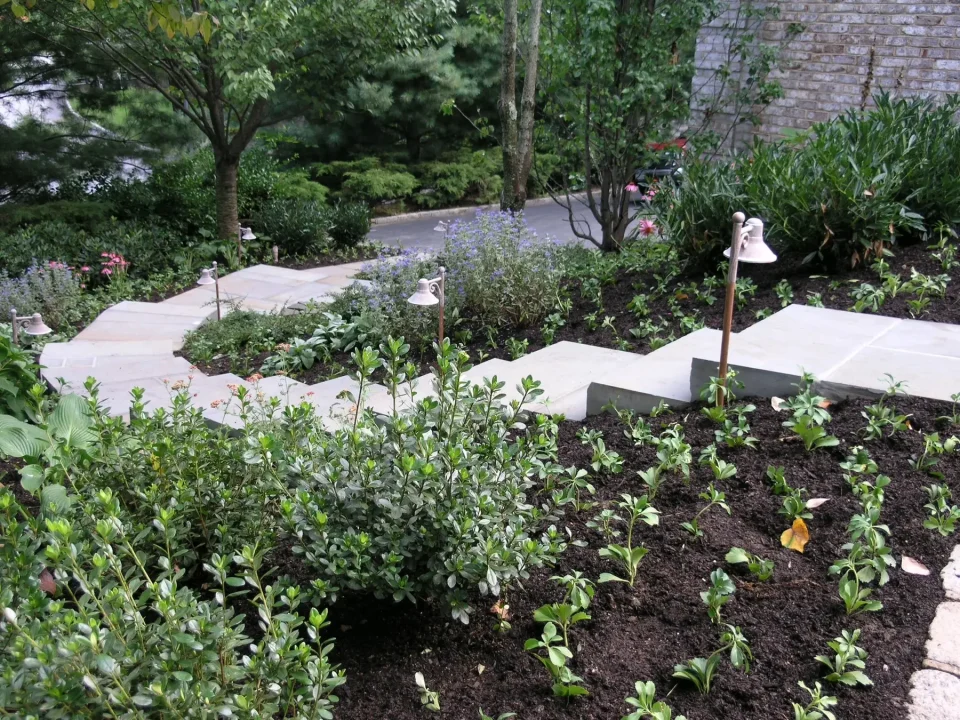 Lush garden with diverse plants and trees next to a brick house.