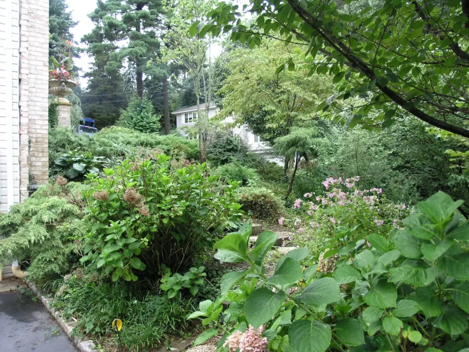 Lush garden with diverse plants and trees next to a brick house.