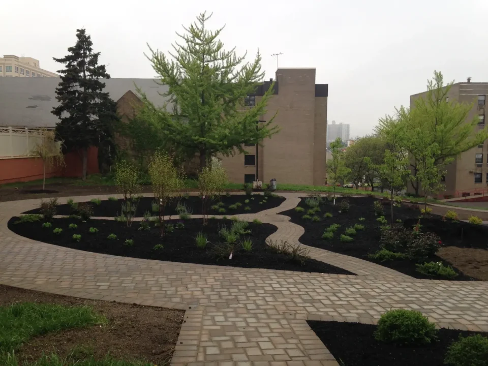 Newly landscaped area with winding path, young trees, and fresh mulch.