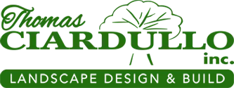 TCI Landscpaing logo